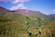 08 (2)