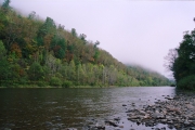 11A (1)
