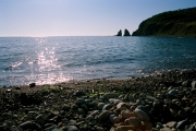 16A (1)
