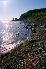 19A (1)