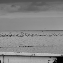 dsc01404
