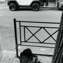 street-photo-sochi-1-51