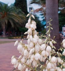 dsc00567-2020-08-11-at-14-18-10