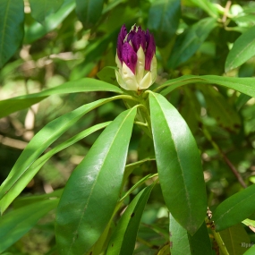 P1560840