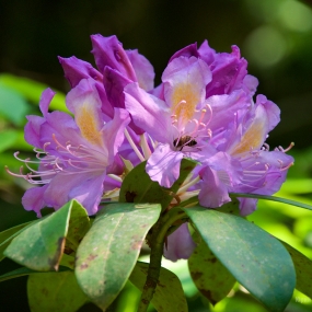 P1570069