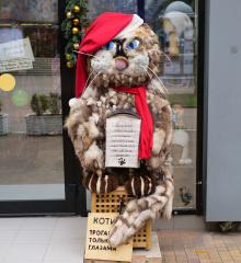 P1000799 - 2019-01-26 at 12-15-25 P1000799 - 2019-01-26 at 12-15-25