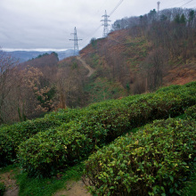 P1290511