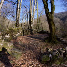 P1440522---2017-03-08-at-15-39-31