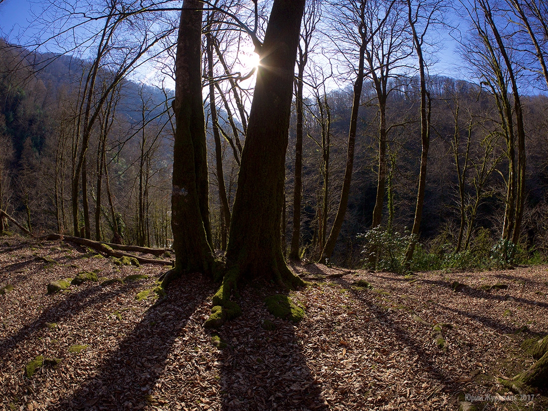 P1440549---2017-03-08-at-15-47-57