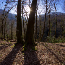 P1440549---2017-03-08-at-15-47-57