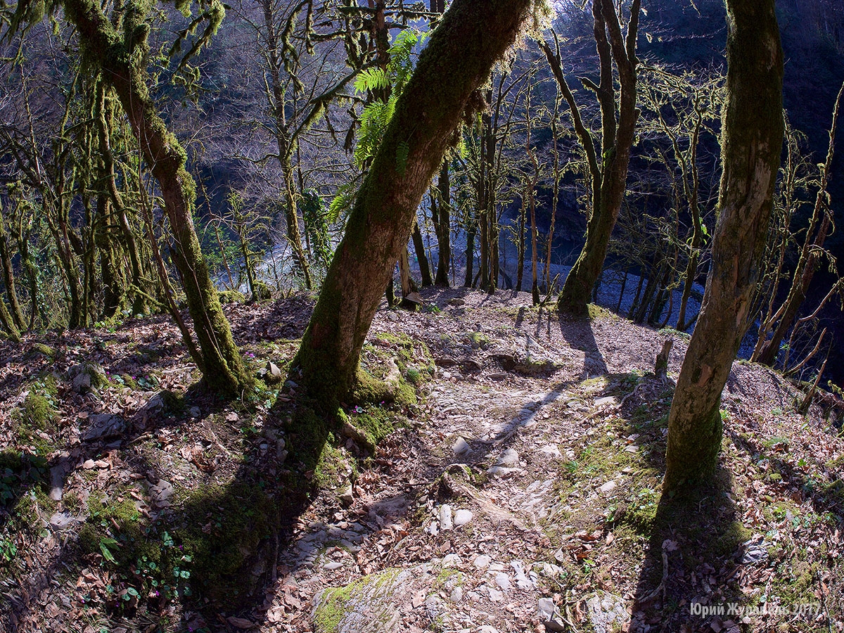P1440567---2017-03-08-at-15-53-16