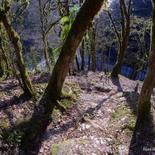 P1440567---2017-03-08-at-15-53-16