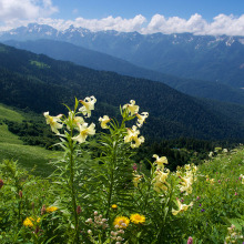Кавказский Заповедник