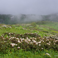 Кавказский Заповедник