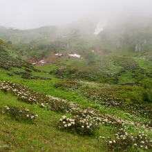 Кавказский Заповедник
