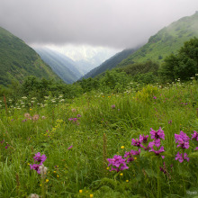Кавказский заповедник