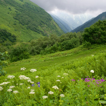 Кавказский заповедник