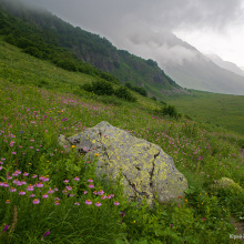 Кавказский заповедник