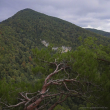 Сочи, Орлиные скалы
