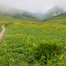 Кавказский заповедник
