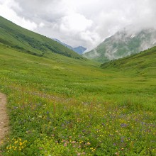 Кавказ
