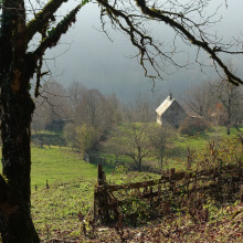 dsc04483-2021-01-03-at-12-39-06