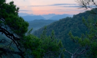 P1070180