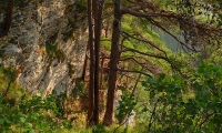 P1190265