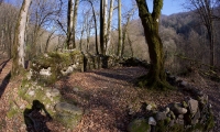 P1440522---2017-03-08-at-15-39-31