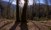 P1440549---2017-03-08-at-15-47-57