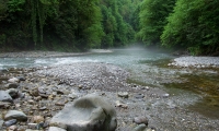 P1570612-(1)