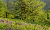P5010053