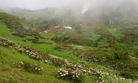 Кавказский Заповедник