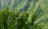 Кавказский Заповедник