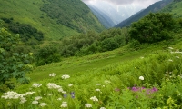 Кавказский заповедник