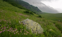 Кавказский заповедник