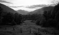 P8250139-bw---2018-08-25-at-19-28-46-(1)