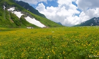 Кавказский Заповедник