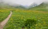 Кавказский заповедник