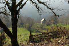 dsc04483-2021-01-03-at-12-39-06