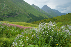 Пейзажи в районе Бзерпинского карниза