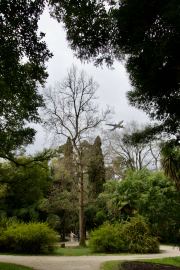 dsc01762