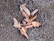 P1630101---2019-01-18-at-13-27-21