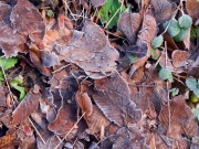 P1630126---2019-01-18-at-13-30-17