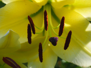 p1333691