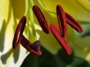 p1333712