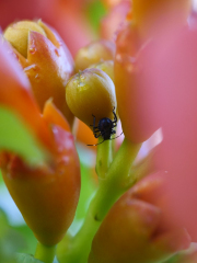 p1555343
