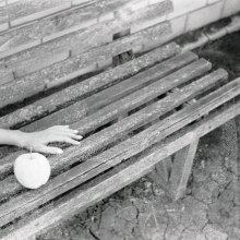 Image-(15)