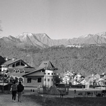 Image-(16)