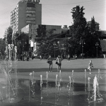 Image-(20)